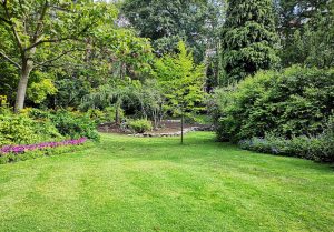 Optimiser l'expérience du jardin à Lavernose-Lacasse